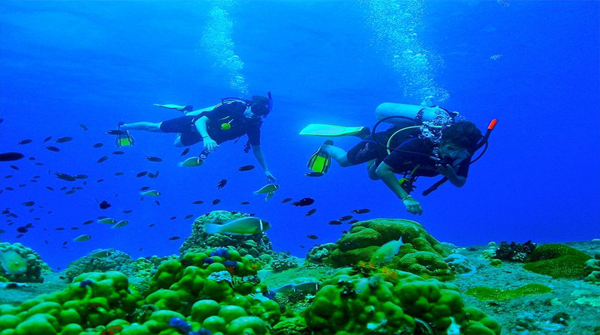 Koh Kong Scuba Diving