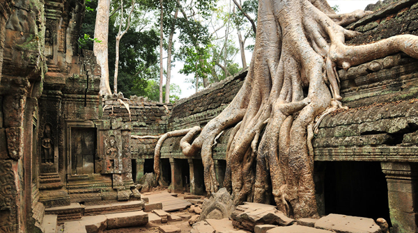 Ta Prohm Temple